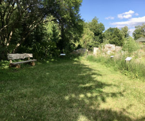 Arboretum w Marculach