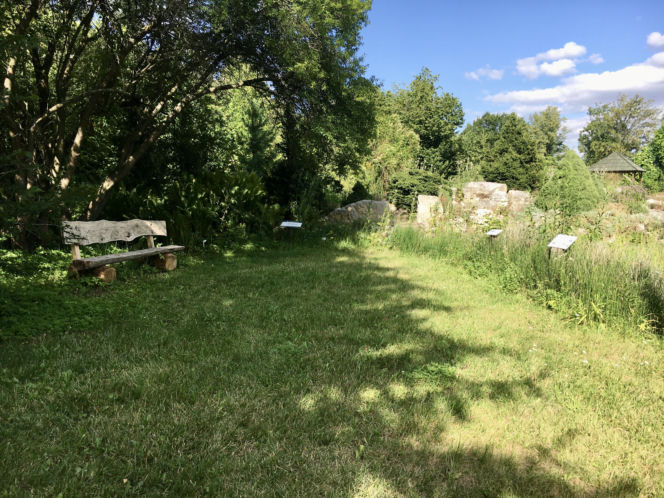 Arboretum w Marculach