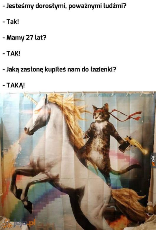 Dzień Kota 2025. Zobacz najśmieszniejsze memy z kotami w roli głównej! [17.02.2025]