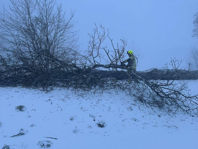 Wichura zniszczyła zabytkową kapliczkę przy sanktuarium