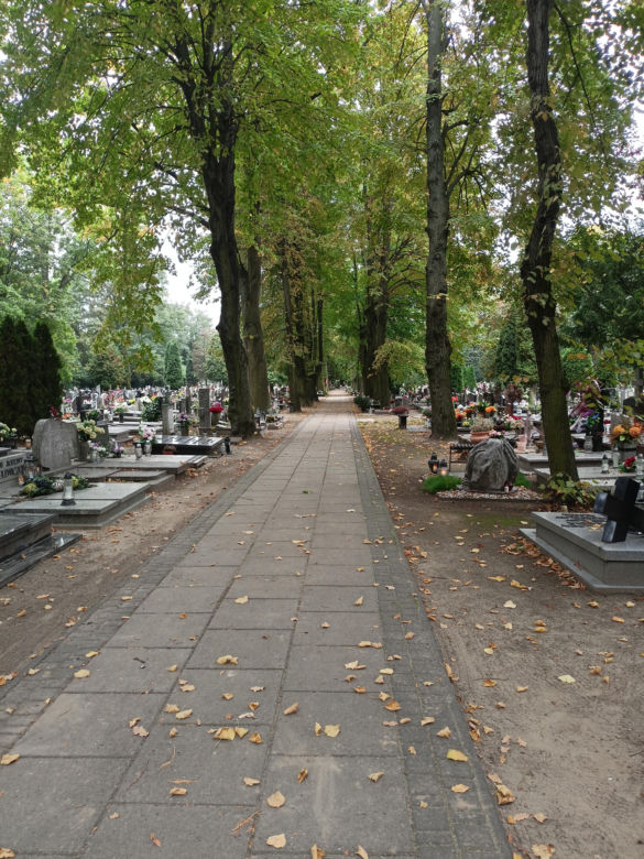Ceny zniczy i wiązanek. Cmentarz Winiarski - Piątkowo Poznań