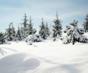 Nowy tor do nart biegowych na lotnisku w Przylepie 