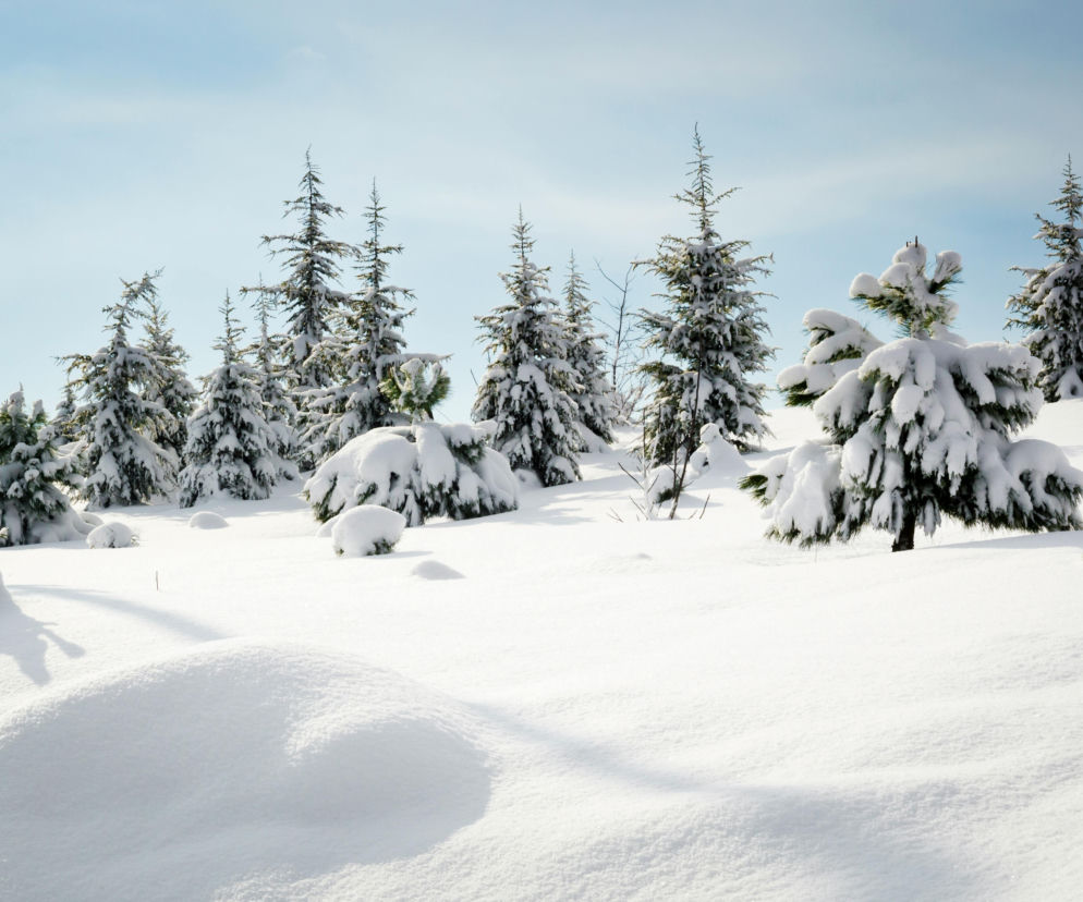 Nowy tor do nart biegowych na lotnisku w Przylepie 