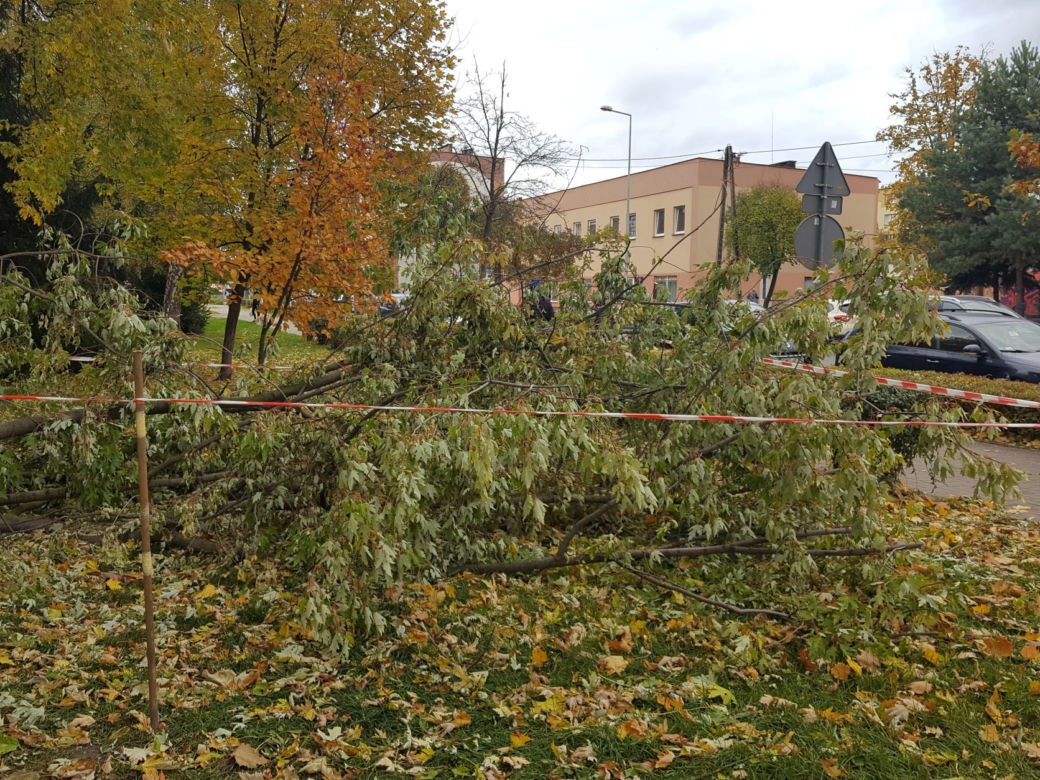 Strażacy (i piły) na pełnych obrotach