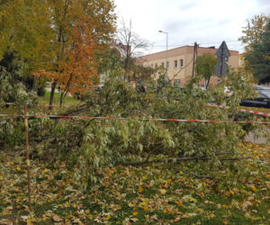 Strażacy (i piły) na pełnych obrotach