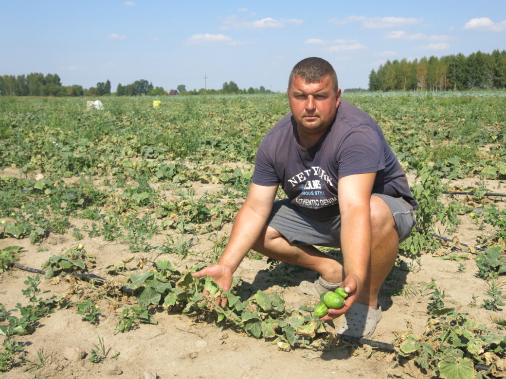 UPAŁY NAS ZRUJNUJĄ