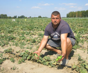 UPAŁY NAS ZRUJNUJĄ