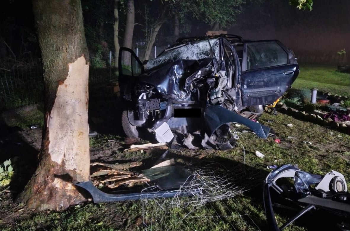 Rabinówka. Pijana 22-latka bez prawa jazdy uderzyła w ogrodzenie i drzewo