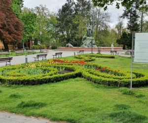 Bydgoszcz walczy z suszą. Miasto kosi tylko tam, gdzie trzeba