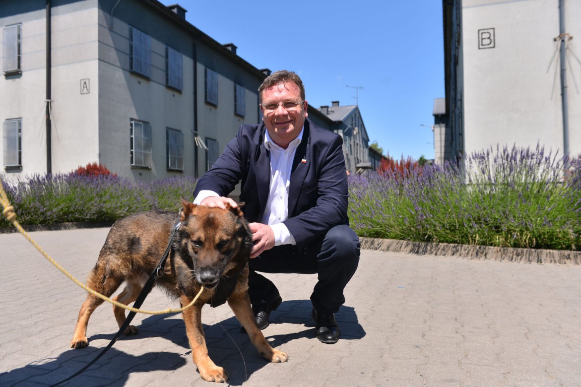 Psy na gangsterów w areszcie śledczym 