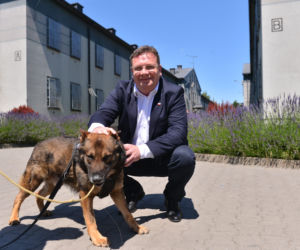 Psy na gangsterów w areszcie śledczym 