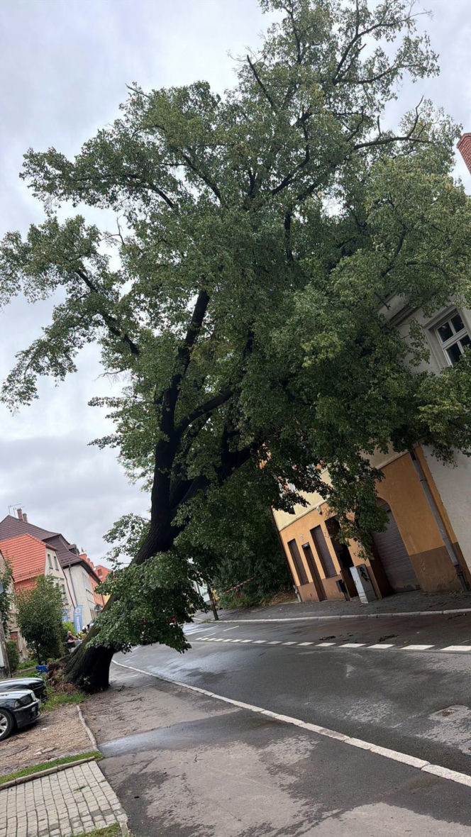 Burze spustoszyły Dolny Śląsk. Setki interwencji strażaków i ewakuacja obozów harcerskich