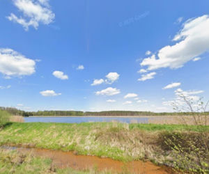 Piłka: Leśna pustelnia idealna na detoks. To najspokojniejsza wieś w Śląskiem