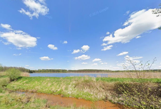 Piłka: Leśna pustelnia idealna na detoks. To najspokojniejsza wieś w Śląskiem