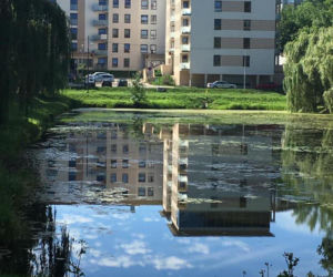 Rok temu cudem uniknęła śmierci. Teraz zginęła z rąk ukochanego