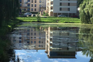 Rok temu cudem uniknęła śmierci. Teraz zginęła z rąk ukochanego