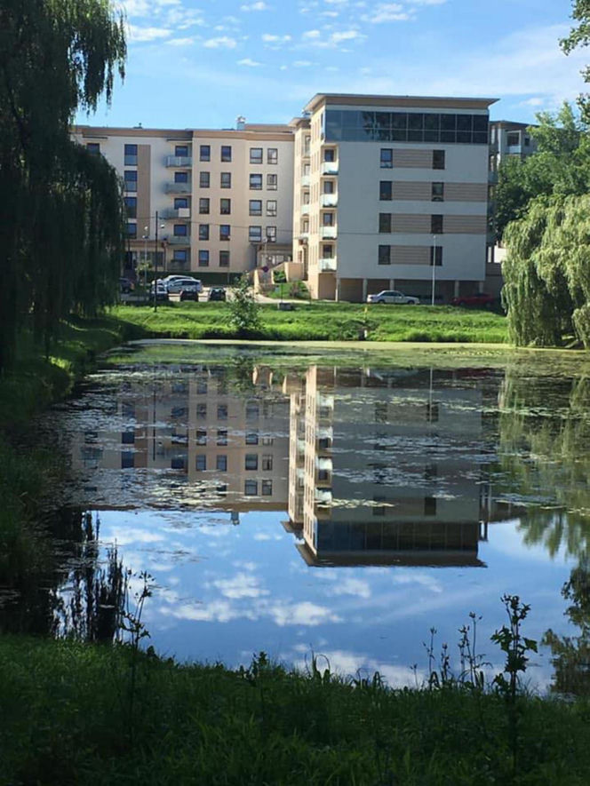 Rok temu cudem uniknęła śmierci. Teraz zginęła z rąk ukochanego