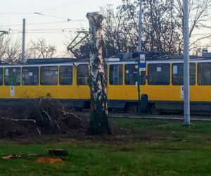 Torowa rewolucja: wycinka drzew na pętli Pomorzany i likwidacja działek
