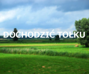 Dochodzić tołku
