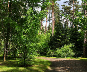 Tajemniczy ogród na Warmii. Tu warto wybrać się na jesienny spacer [ZDJĘCIA]