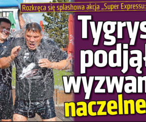 Tygrys podjął wyzwanie naczelnego