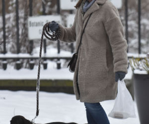 Towarzyszka panienka i pies. Monika Jaruzelska
