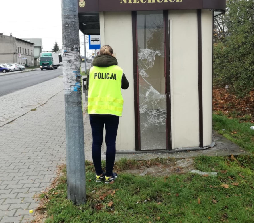 Rozładował negatywne emocje po rodzinnej kłótni. Efekt? 