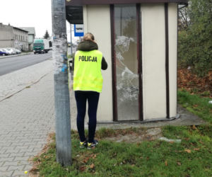 Rozładował negatywne emocje po rodzinnej kłótni. Efekt? 