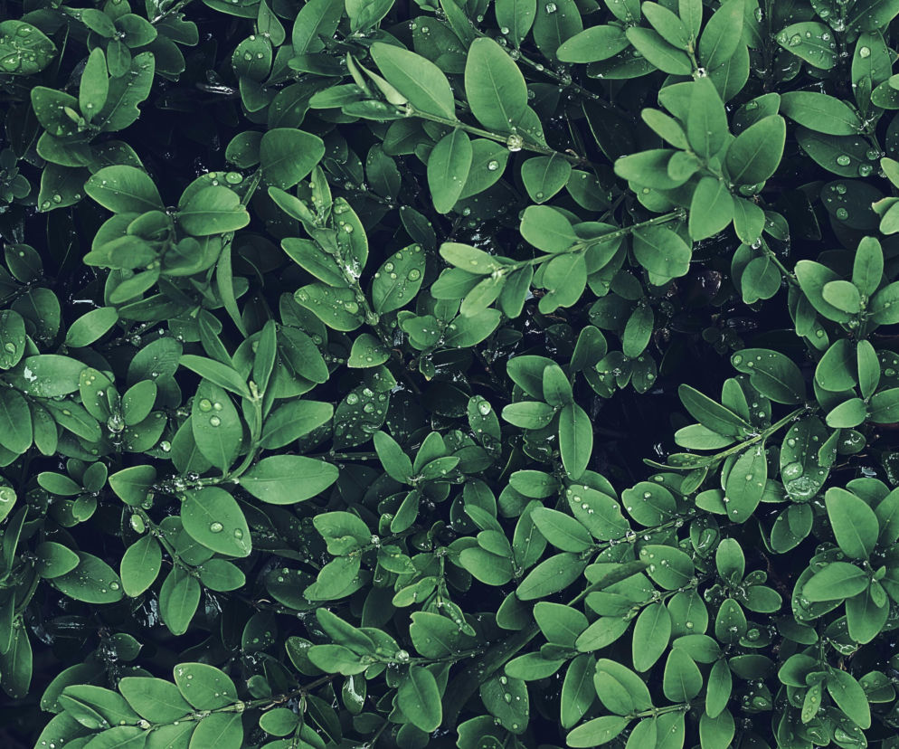 XV Ogólnopolska Noc Biologów w Centrum Nauki Keplera