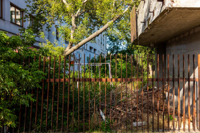 Szpiegowo w Warszawie