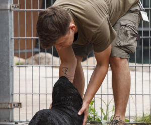 Mały kotik we wrocławskim zoo dostał imię Bruno