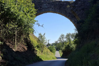 Ossolin