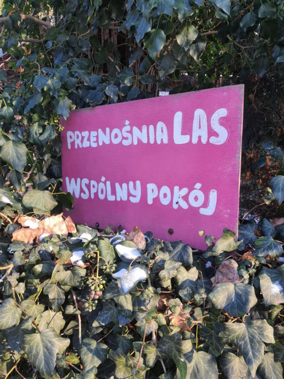 Osiedla Jazdów 2024