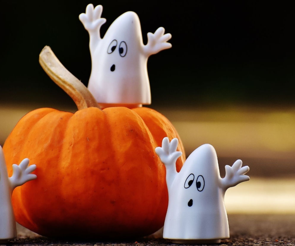 Halloween 2021: co robić z dziećmi, przyjaciółmi, rodziną? Najlepsze pomysły na wieczór 31 października! 