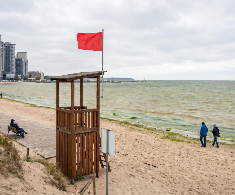 Plaża w Gdyni z zielonymi glonami w wodzie, piaskiem i drewnianą promenadą. Na pierwszym planie drewniana wieża ratownicza z czerwoną flagą zakazu kąpieli. W tle nowoczesne budynki mieszkalne. O aktualnej sytuacji z sinicami na naszym portalu.