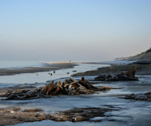 Bałtyk odsłonił las sprzed tysięcy lat