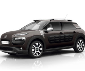 Citroen C4 Cactus Rip Curl 