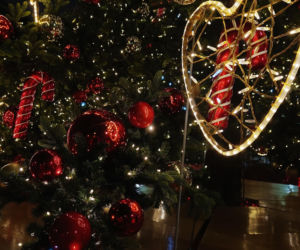 Choinka przed urzędem miasta w Szczecinie