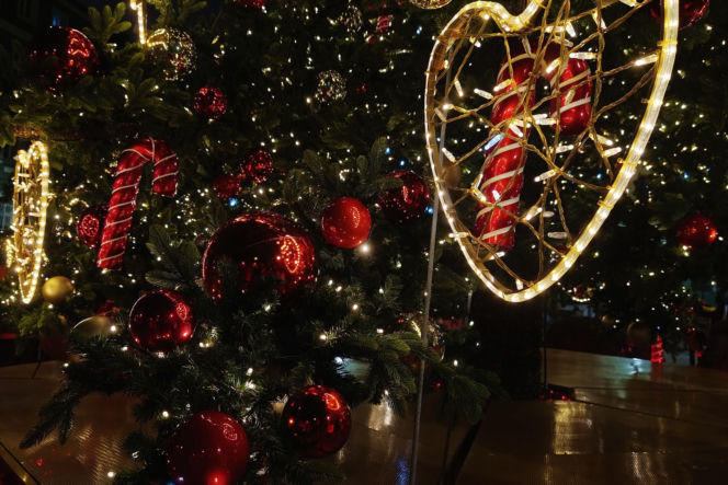 Choinka przed urzędem miasta w Szczecinie