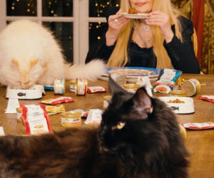 Maryla Rodowicz - koty nie przejedzą emerytury gwiazdy