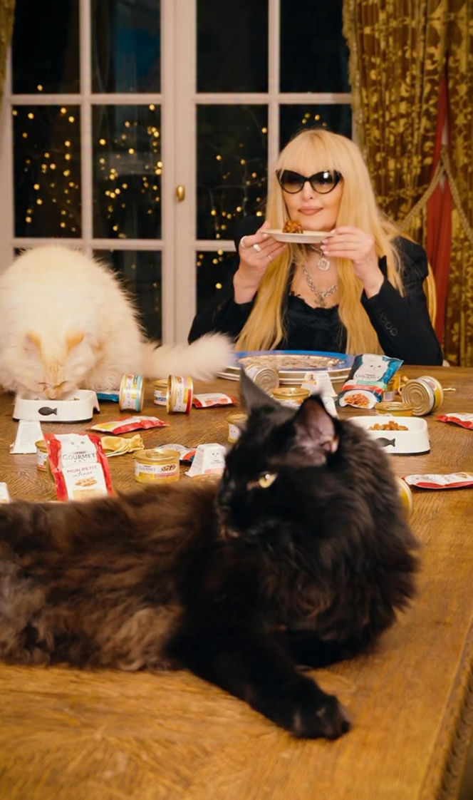 Maryla Rodowicz - koty nie przejedzą emerytury gwiazdy