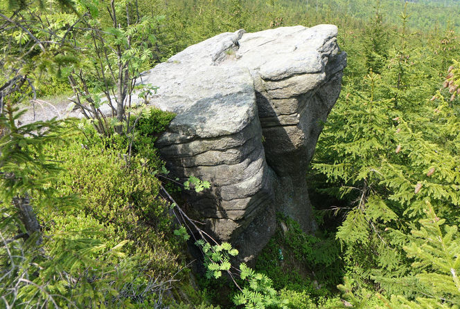 Magurka Radziechowska na zdjęciach