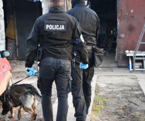 Pół kilograma narkotyków. Akcja jasielskiej policji