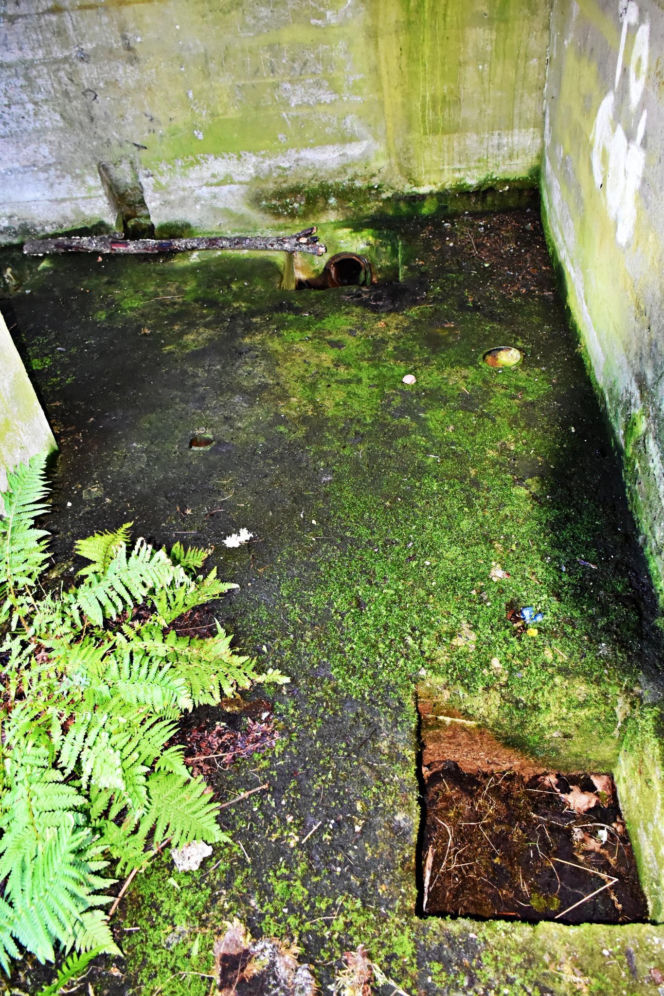 Tajemnicza podziemna hala w woj. warmińsko-mazurskim. Nikt nie wie, co tam się znajdowało