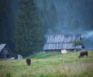 Wakacje w Polsce