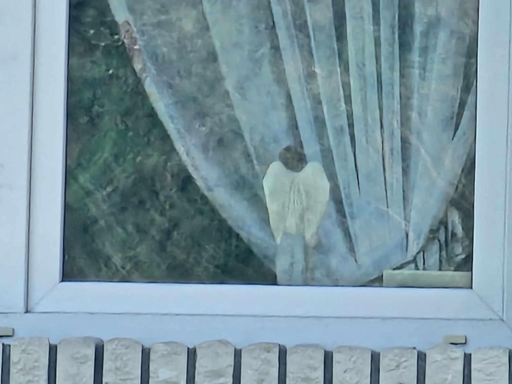 Śmierć 5-miesięcznej Laurki w Brzezowej [GALERIA]