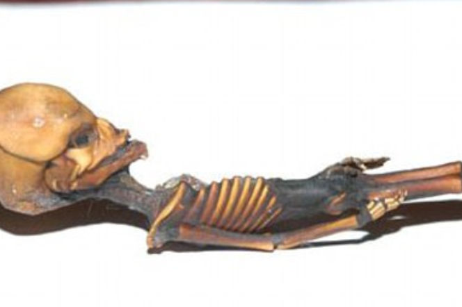 Mumia Ata