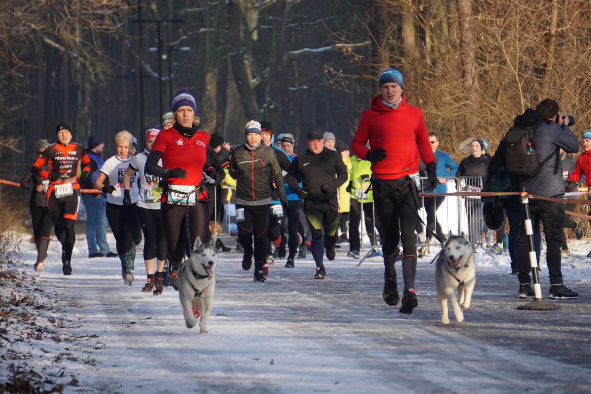 Bieg City TRAIL 2022 w bydgoskim Myślęcinku [GALERIA]