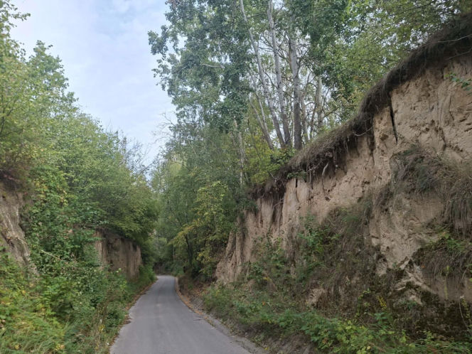 Udziców Świętokrzyskie. Wąwóz