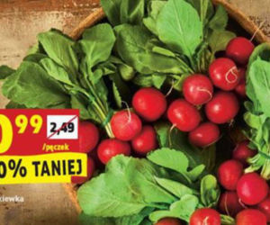 rzodkiewki 0,99 zł